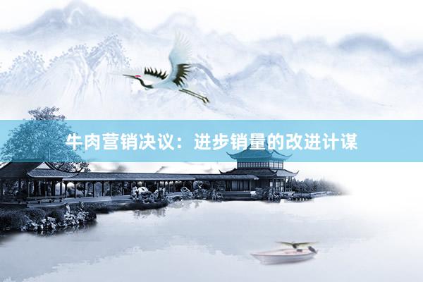 牛肉营销决议：进步销量的改进计谋